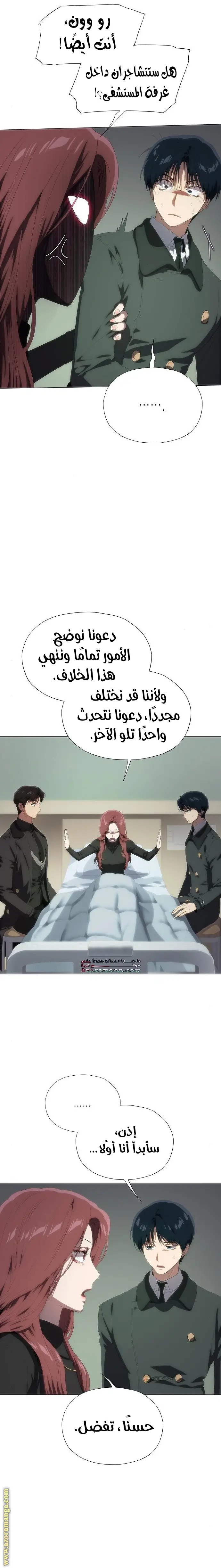 الصفحة 17