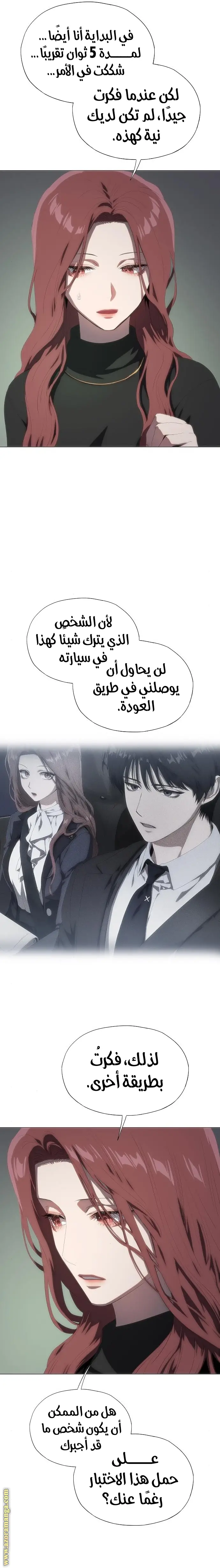 الصفحة 25