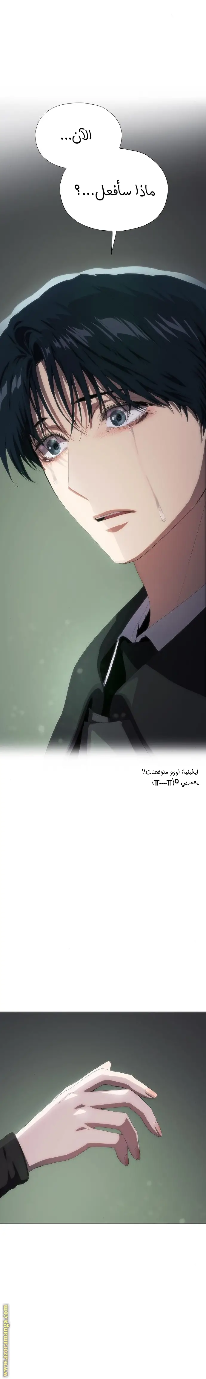 الصفحة 31