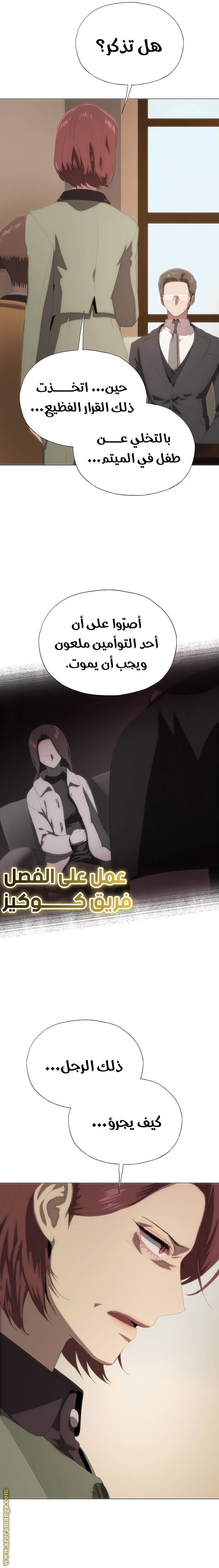 الصفحة 17
