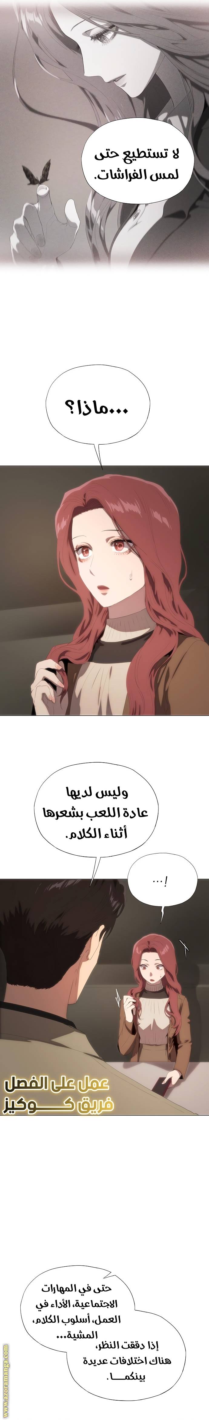 الصفحة 29