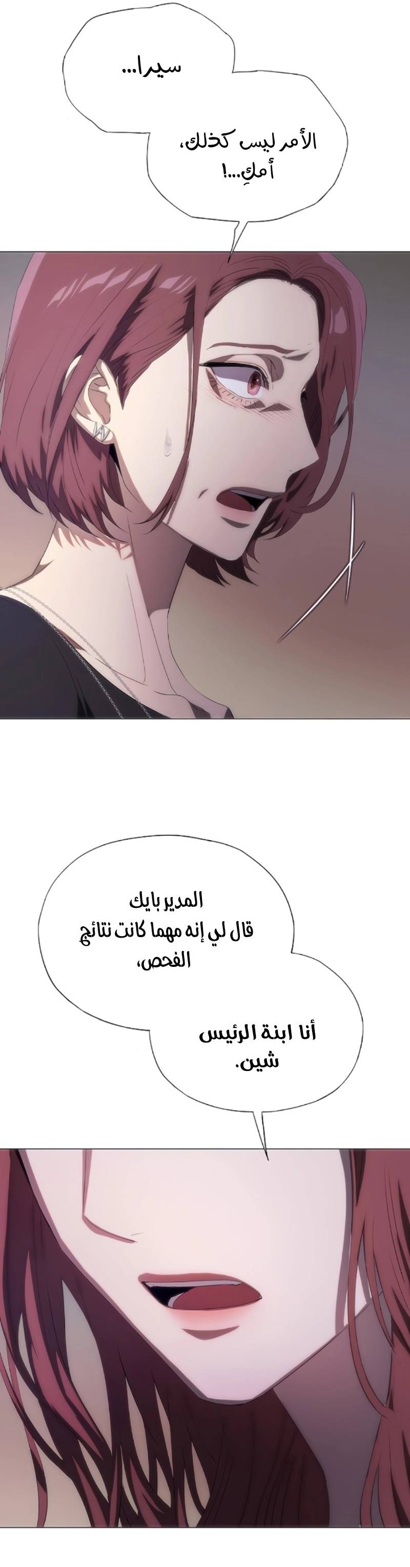 الصفحة 19