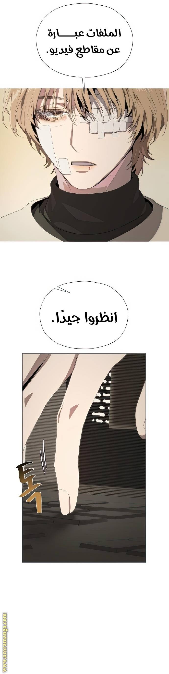 الصفحة 17