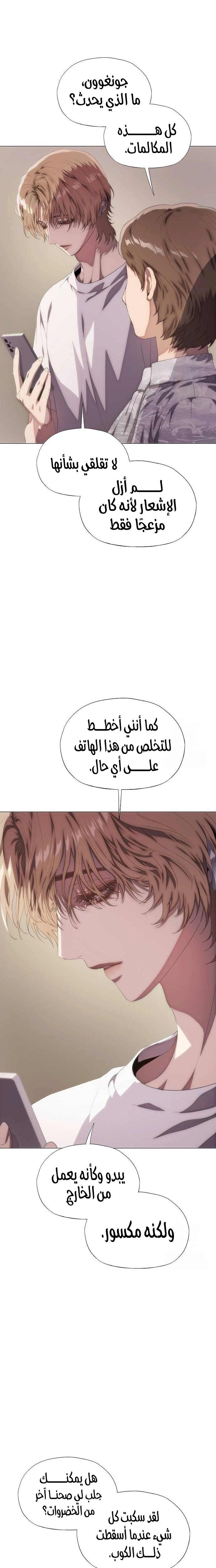 الصفحة 17