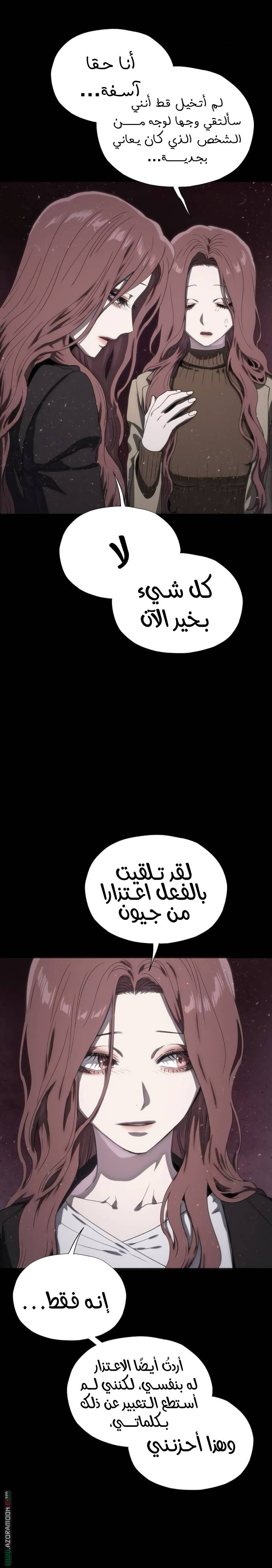 الصفحة 17
