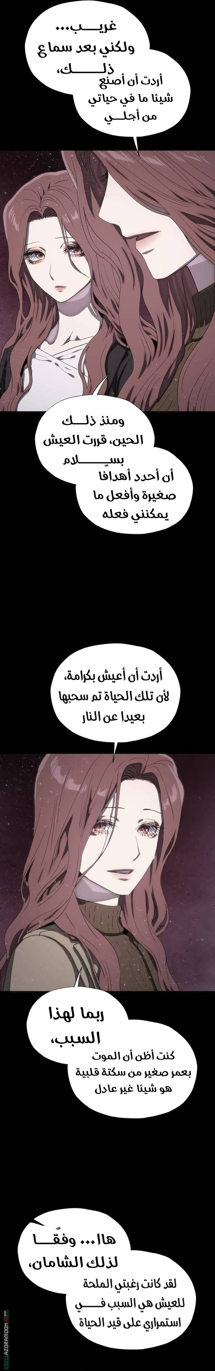 الصفحة 25