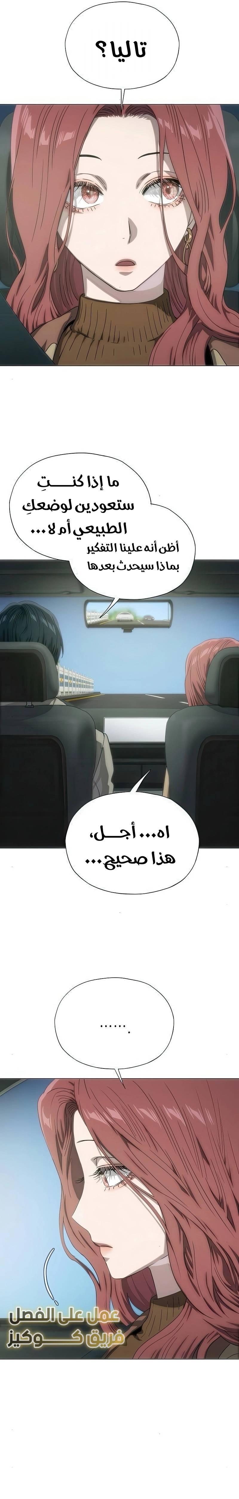 الصفحة 17