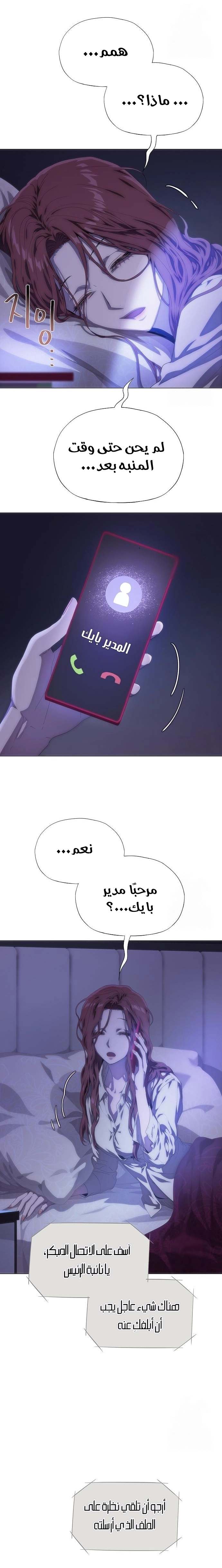 الصفحة 25