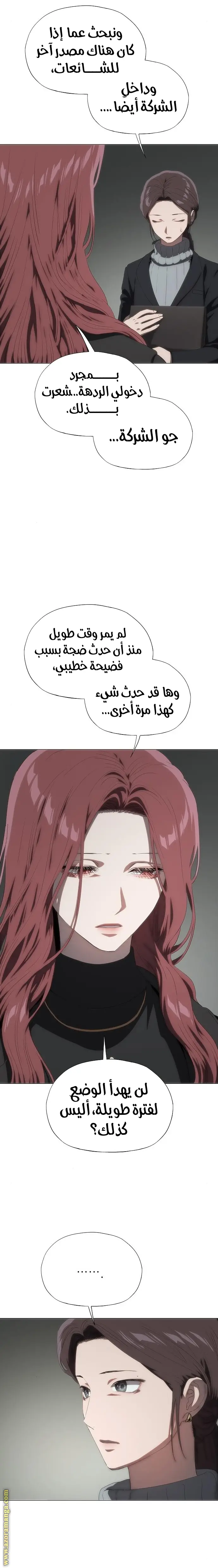 الصفحة 17