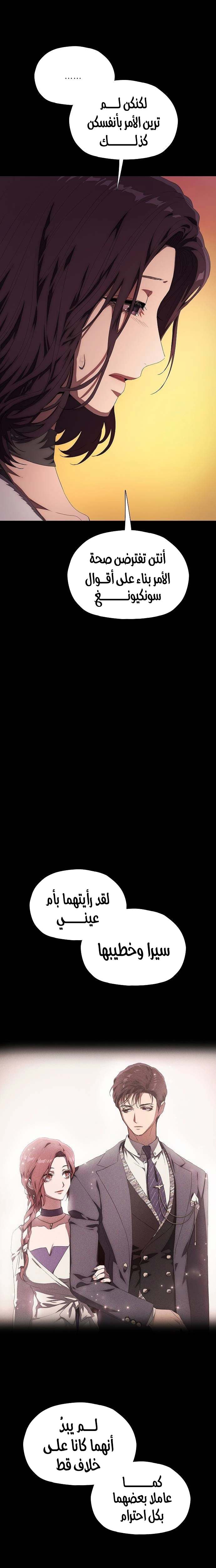 الصفحة 29