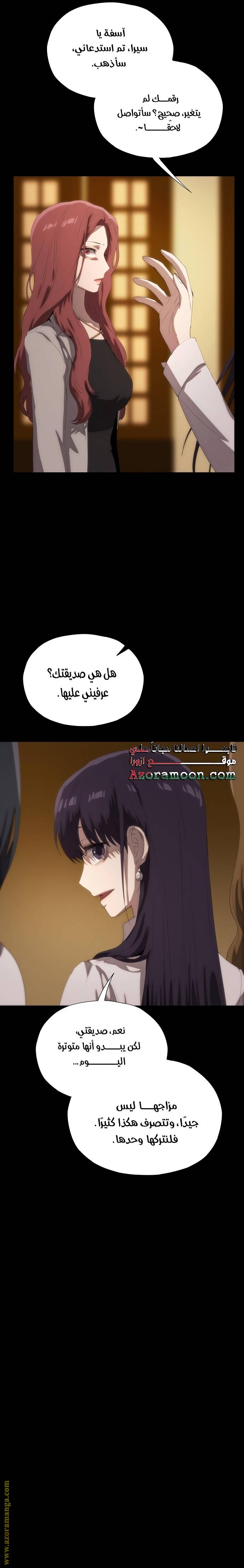 الصفحة 17