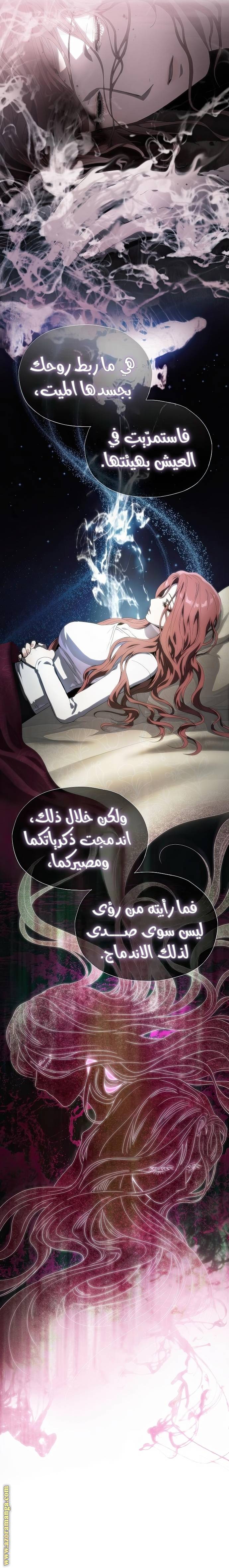 الصفحة 28