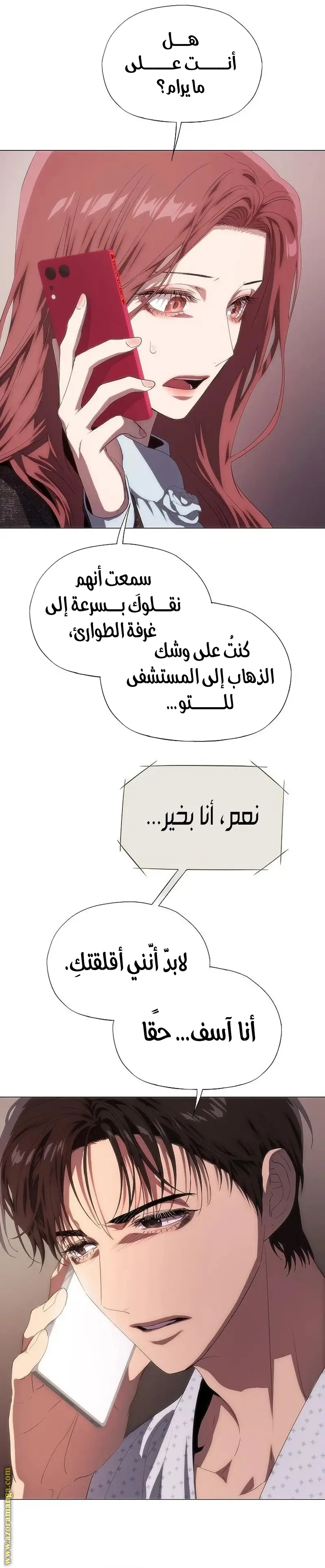 الصفحة 17