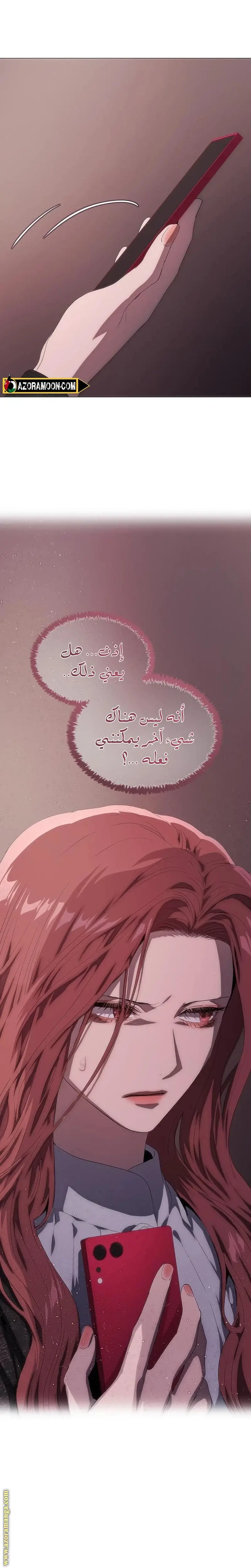 الصفحة 25