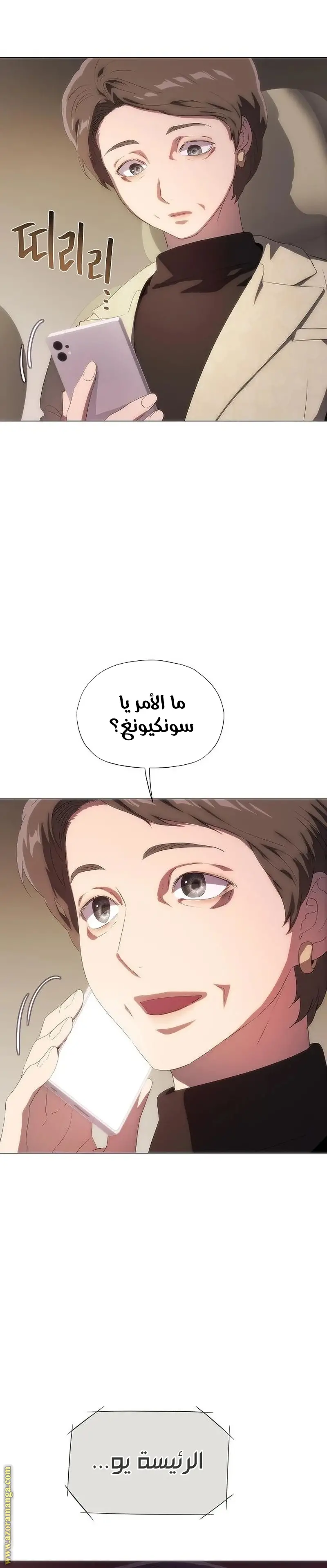 الصفحة 29