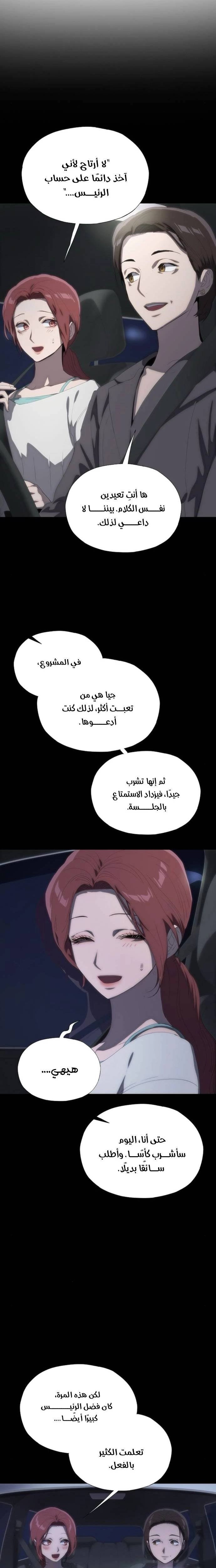 الصفحة 17