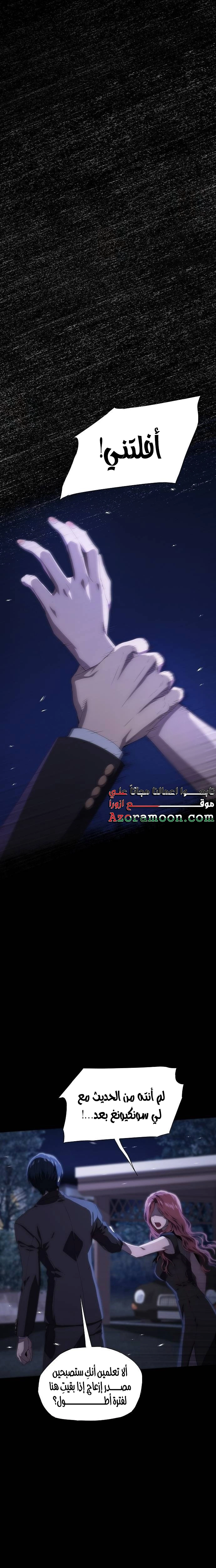 الصفحة 13