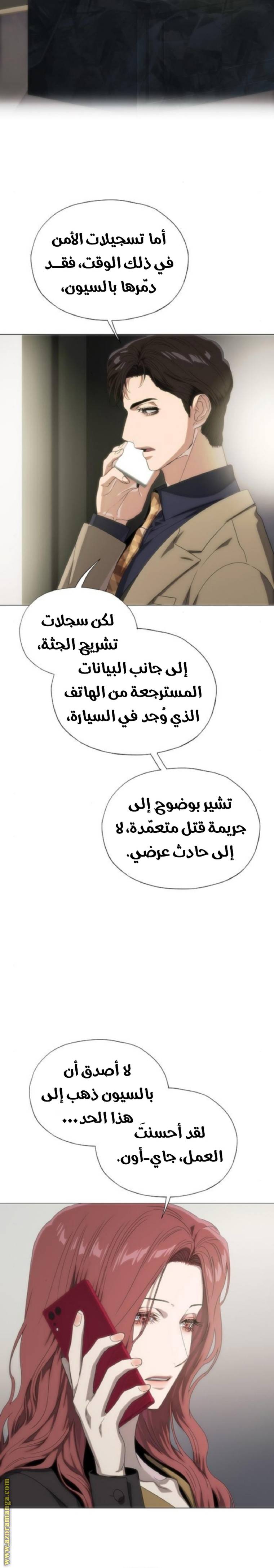 الصفحة 17