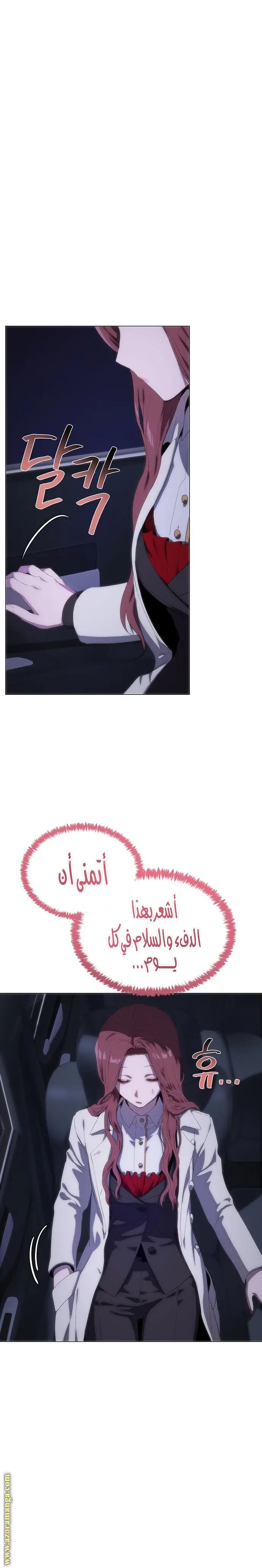 الصفحة 21