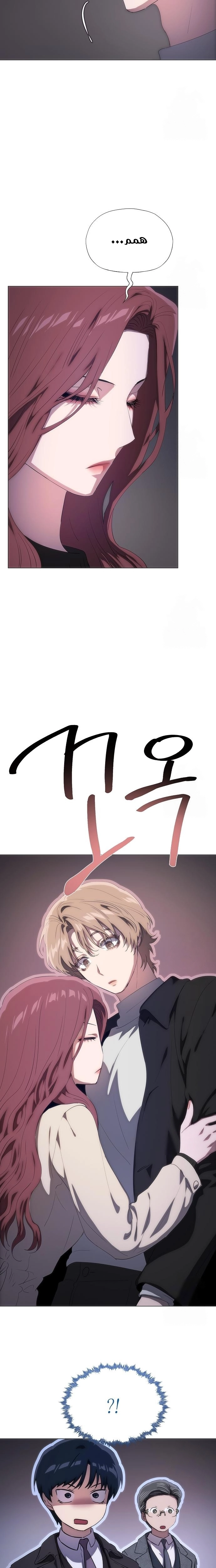 الصفحة 17
