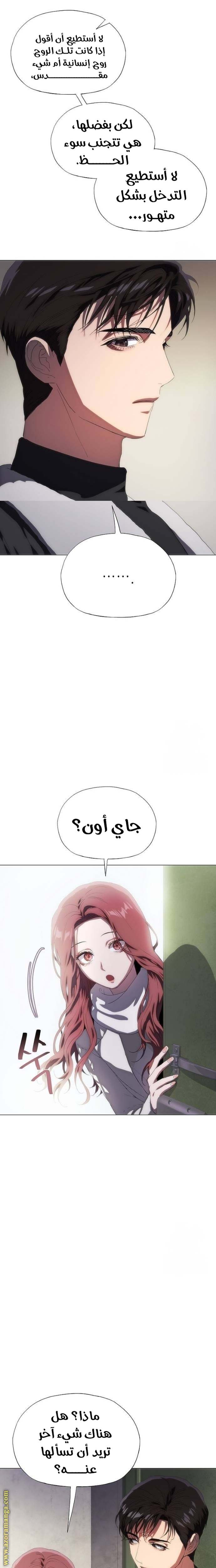 الصفحة 25