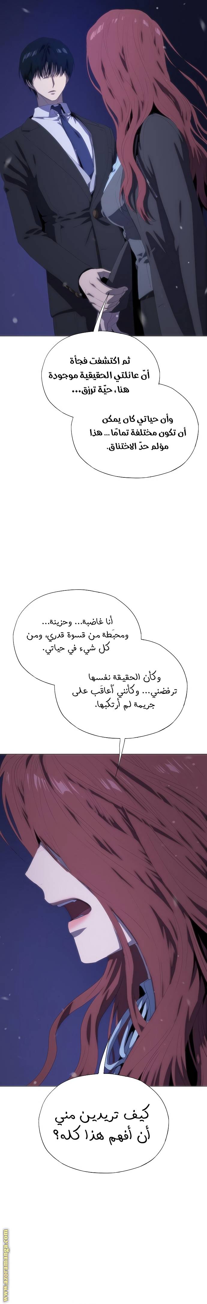 الصفحة 17