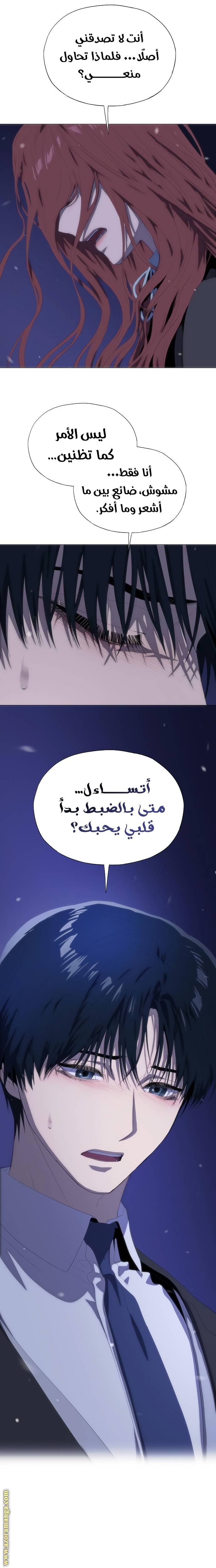الصفحة 19