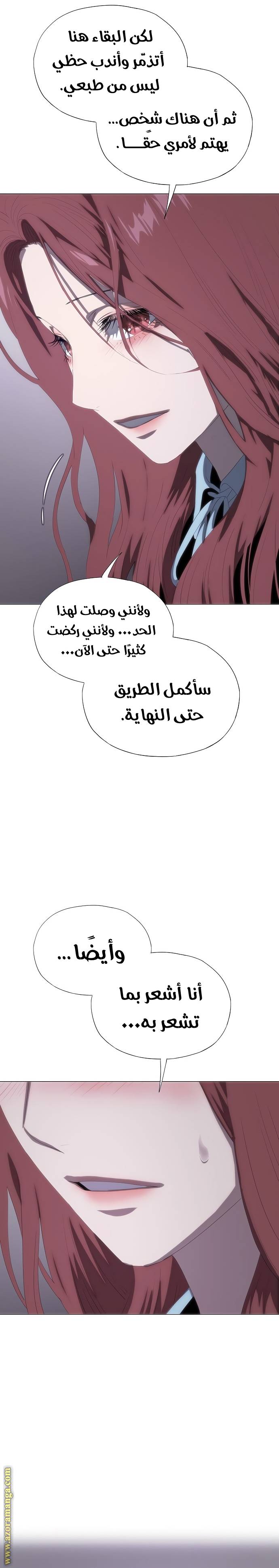 الصفحة 31