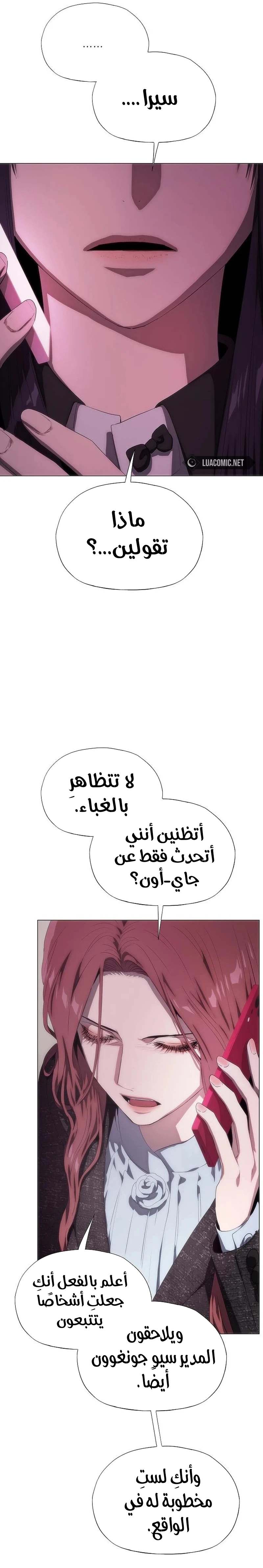 الصفحة 17