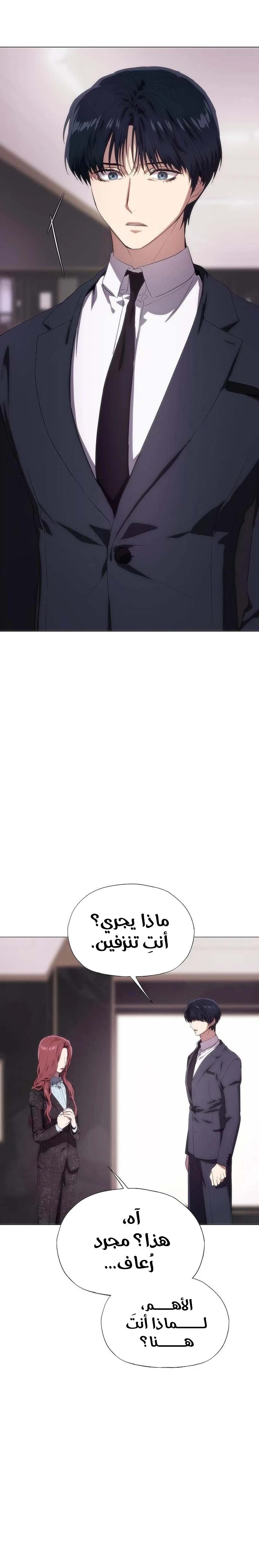 الصفحة 29