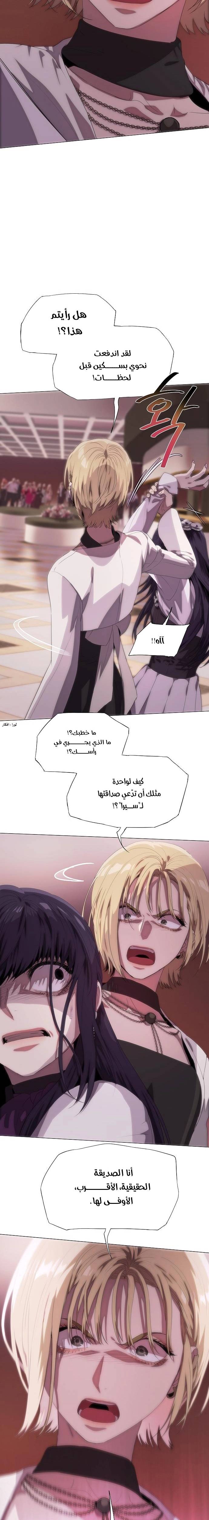 الصفحة 13