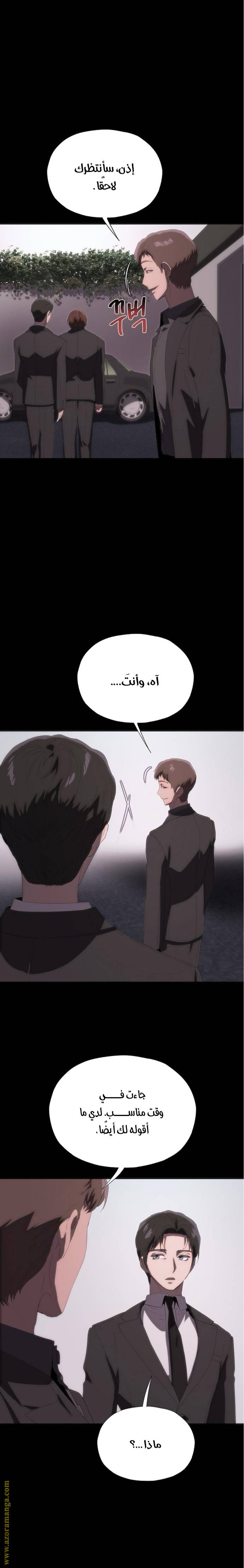 الصفحة 29