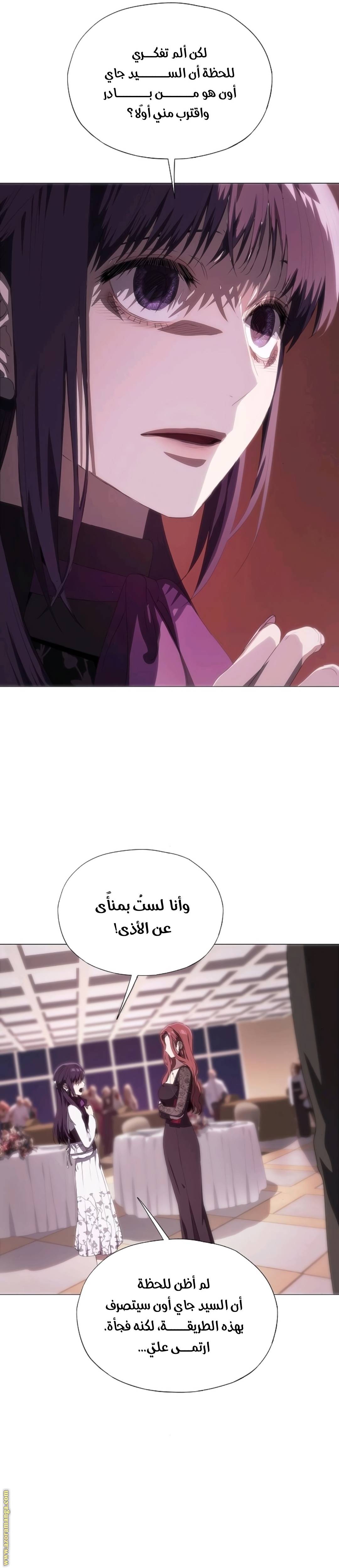 الصفحة 26