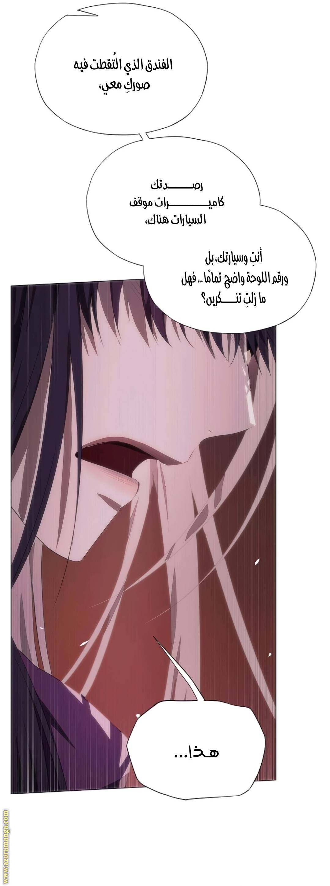 الصفحة 31