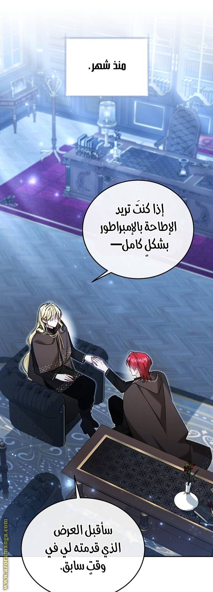 الصفحة 17