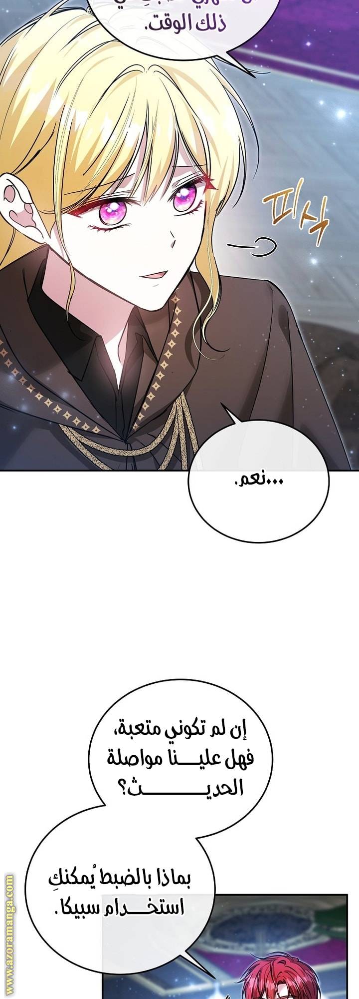 الصفحة 30