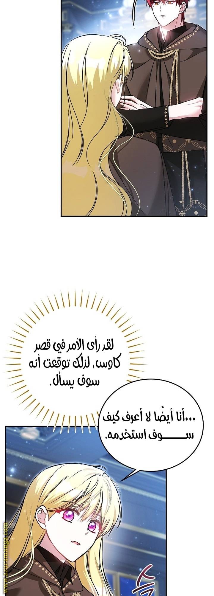 الصفحة 31