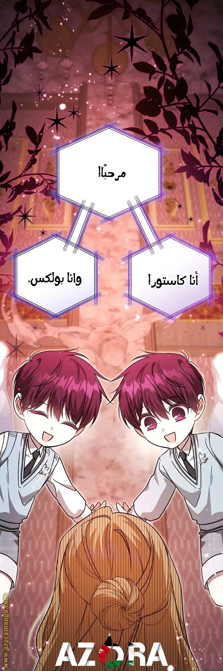 الصفحة 13
