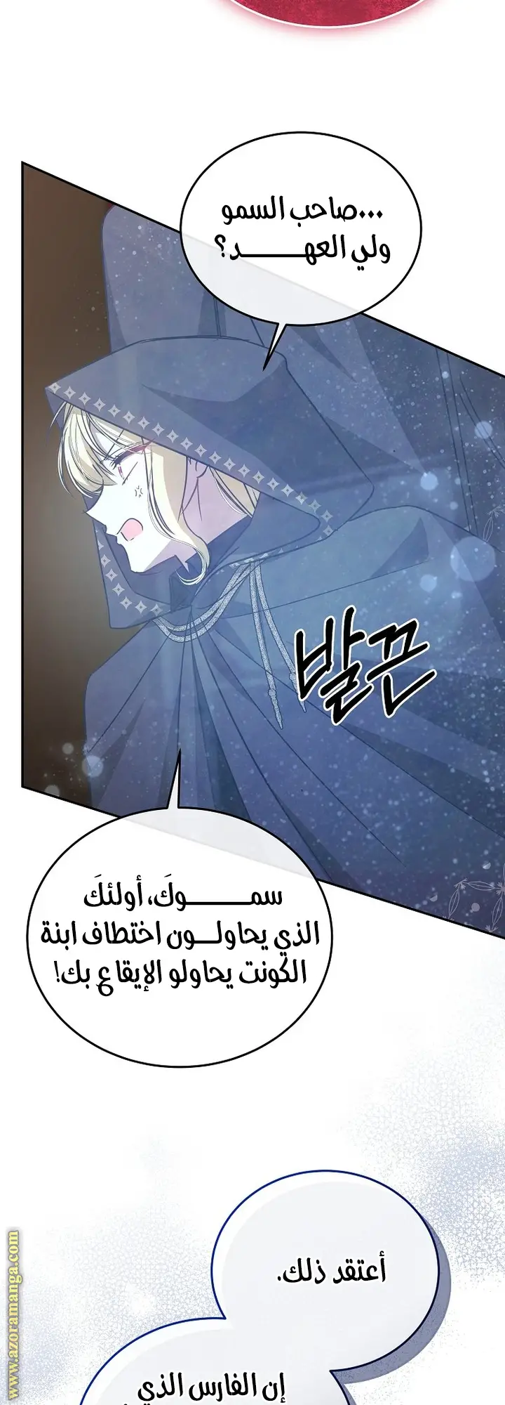 الصفحة 17