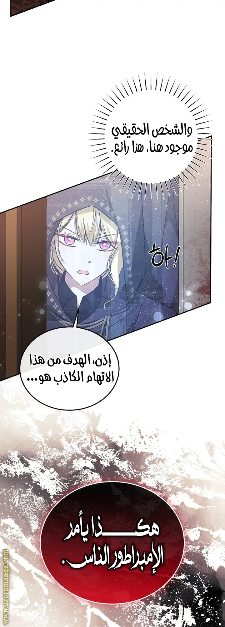 الصفحة 21
