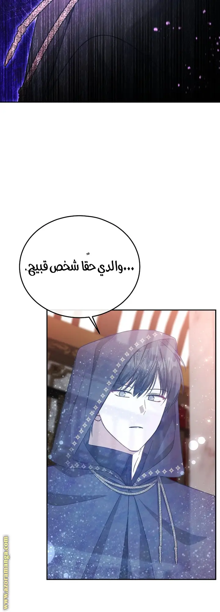 الصفحة 25