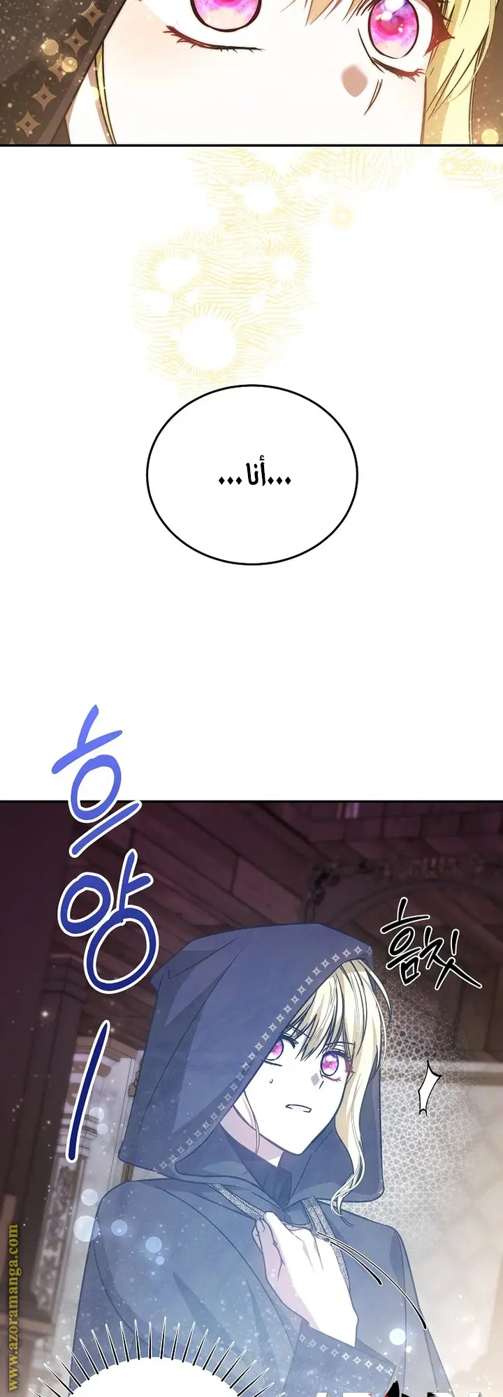 الصفحة 29