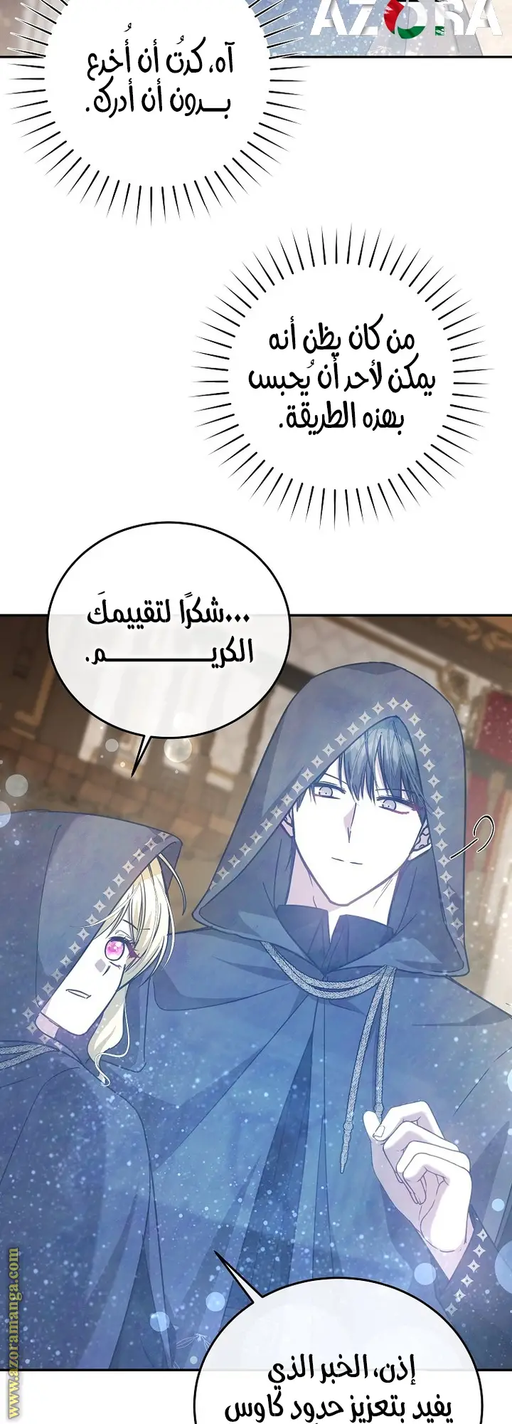 الصفحة 30