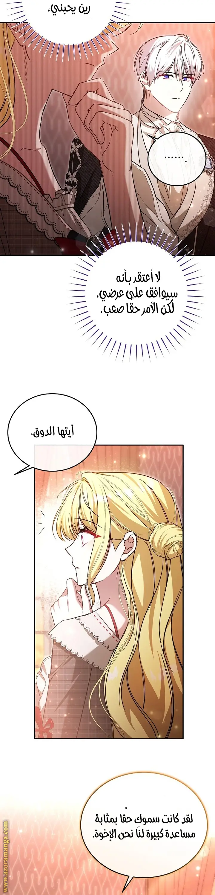 الصفحة 25