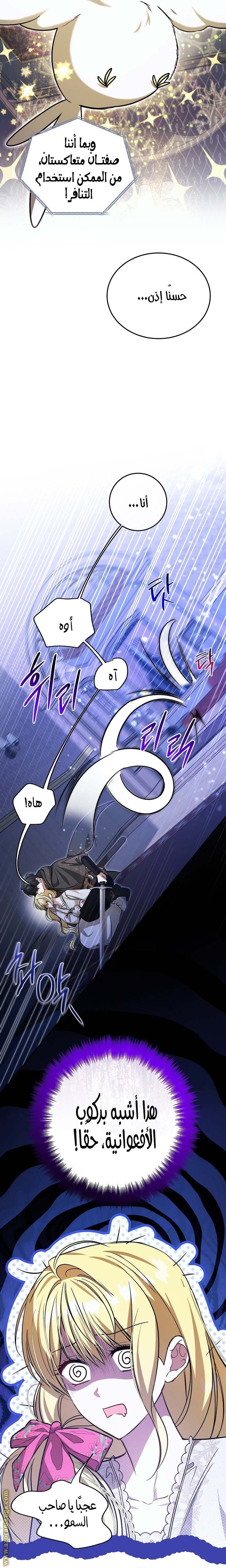 الصفحة 14