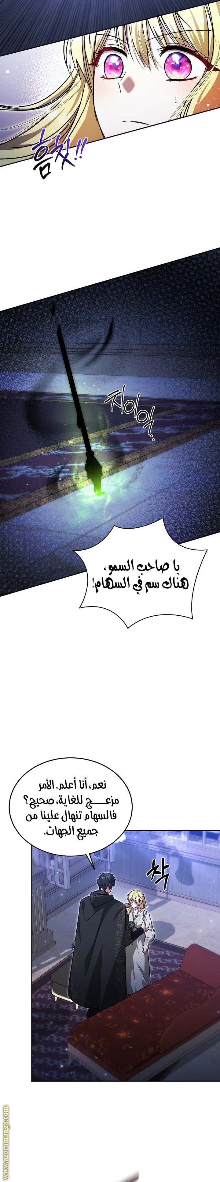 الصفحة 17