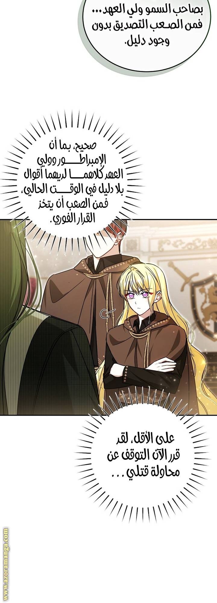 الصفحة 17