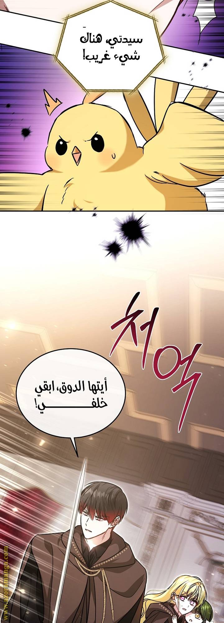 الصفحة 21