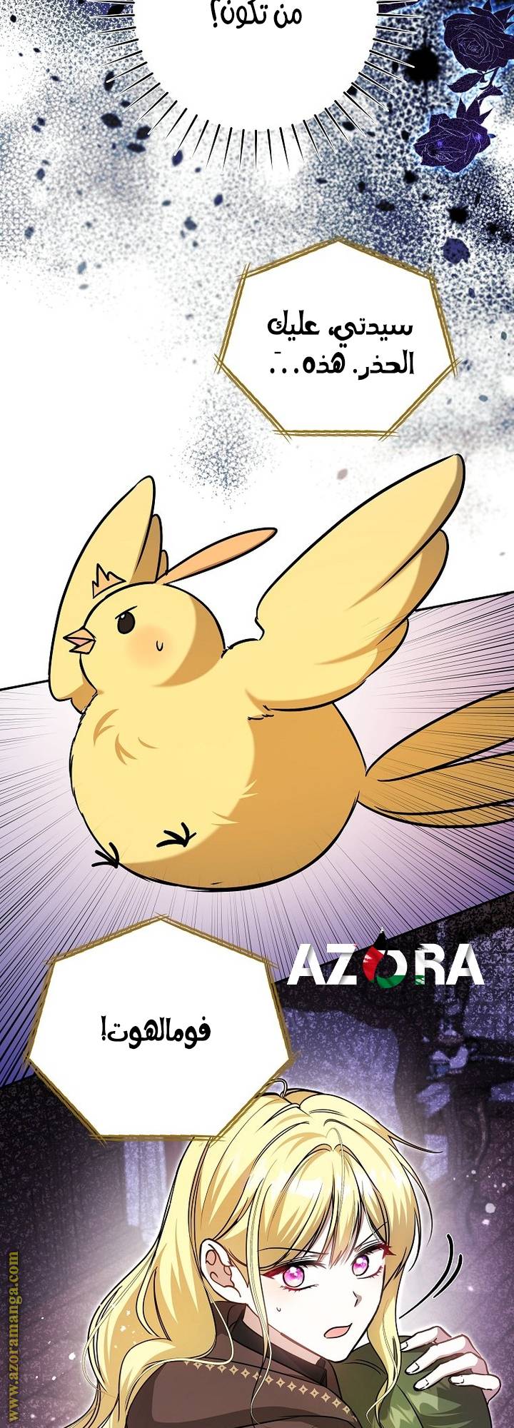 الصفحة 26