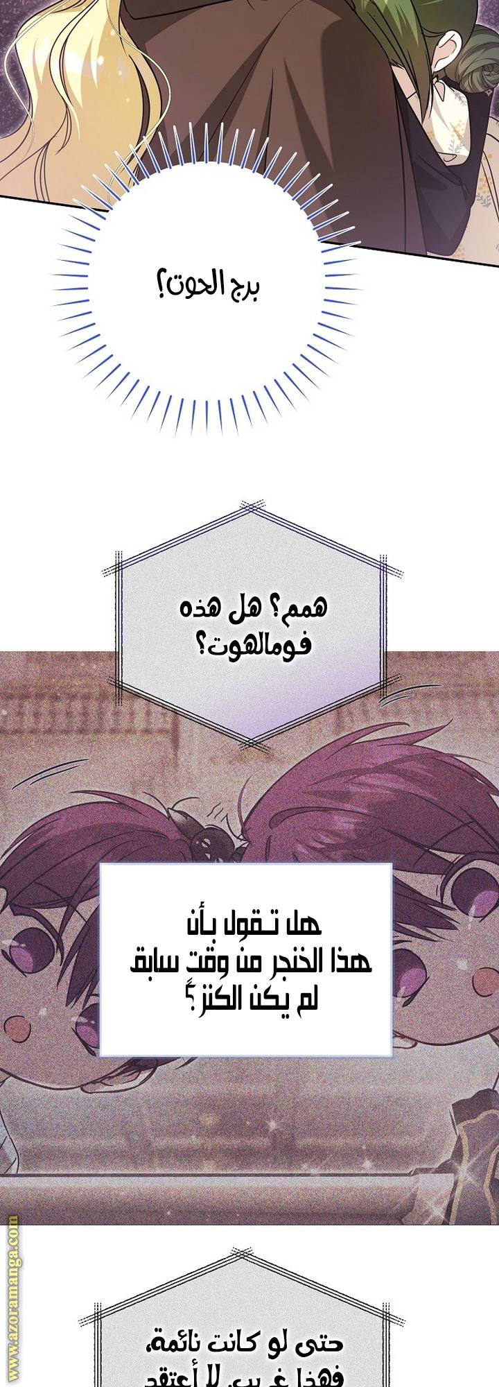 الصفحة 27